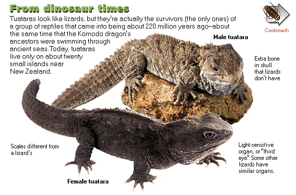 From dinosaur times