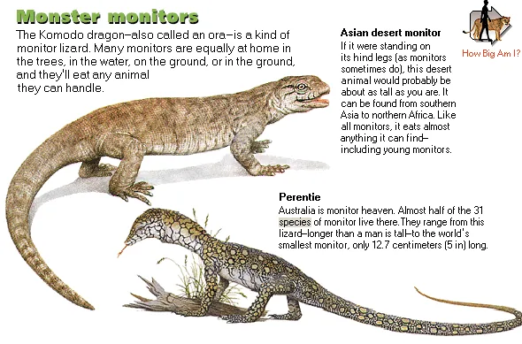 Monster monitors