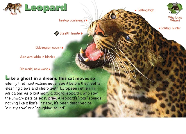 Leopard