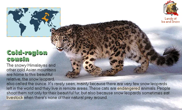 Cold-region cousin