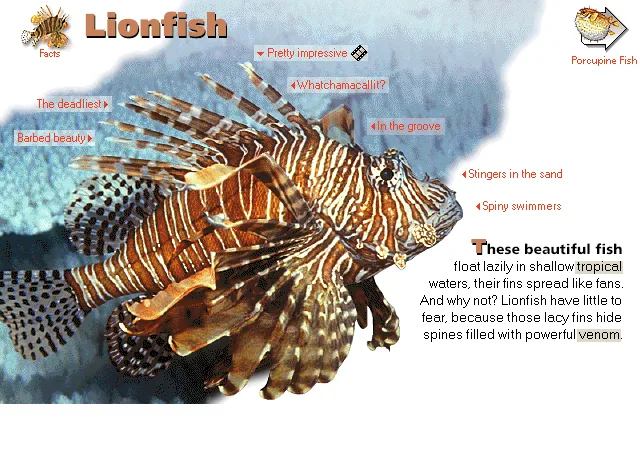 Lionfish