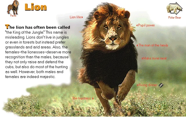 Lion