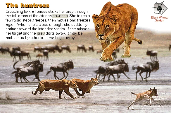 The huntress