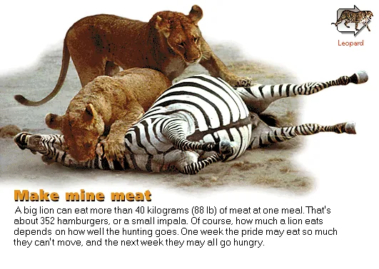 Make mine meat