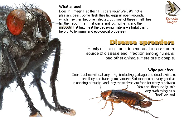 Disease spreaders