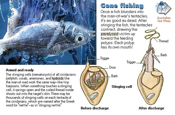 Gone fishing