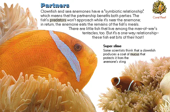Partners