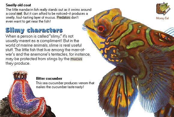 Slimy characters
