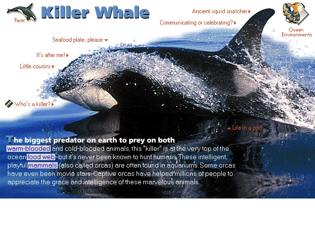 Killer Whale