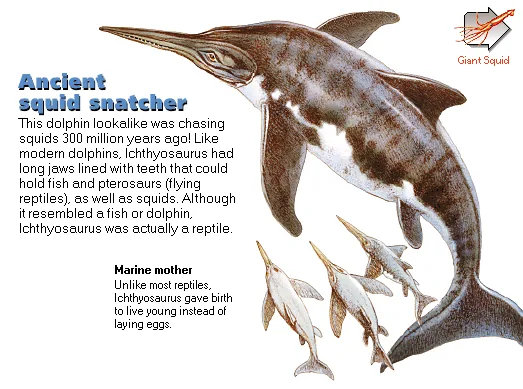 Ancient squid snatcher
