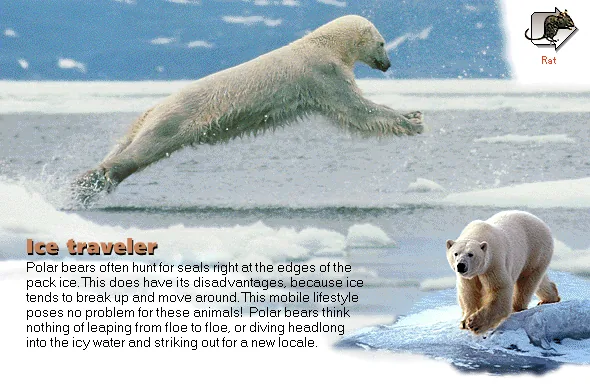 Ice traveler