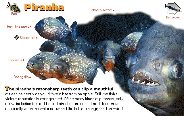 Piranha