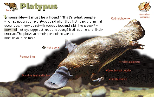 Platypus