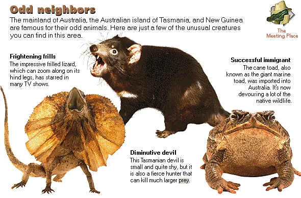 Odd neighbors