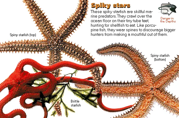 Spiky stars