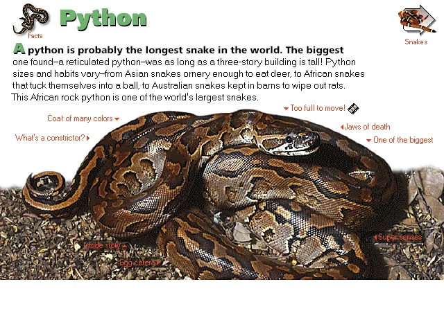 Python