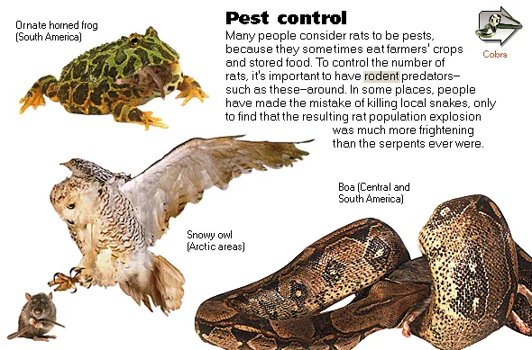 Pest control