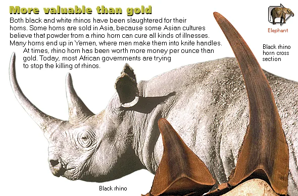 More valuable than gold