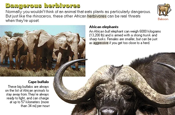 Dangerous herbivores