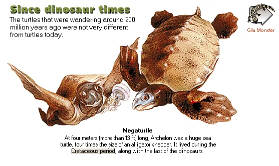 Since dinosaur times