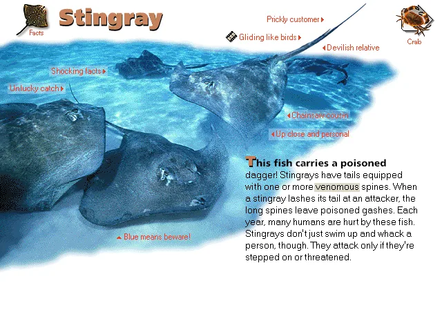 Stingray