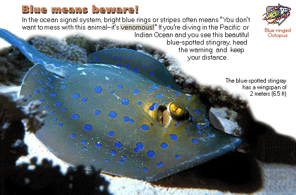 Blue means beware!