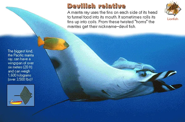 Devilish relative