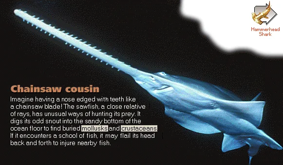 Chainsaw cousin
