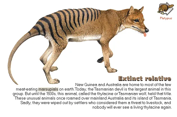 Extinct relative