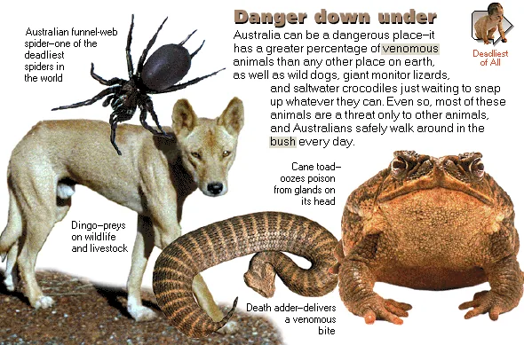 Danger down under