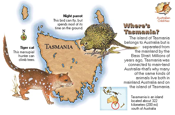 Where's Tasmania?