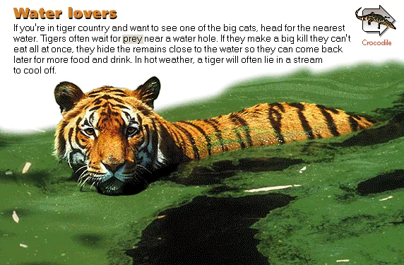 Water lovers