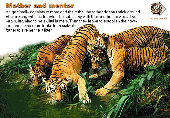 Mother and mentor
