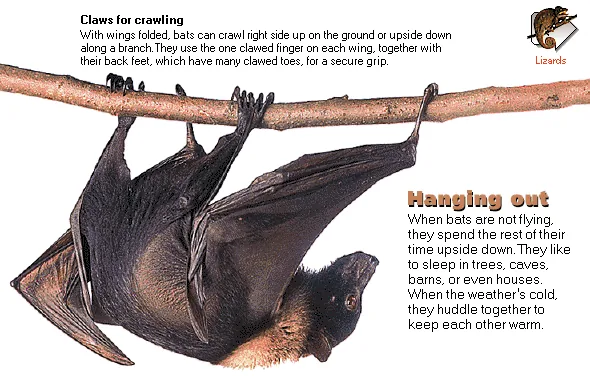 Hanging out