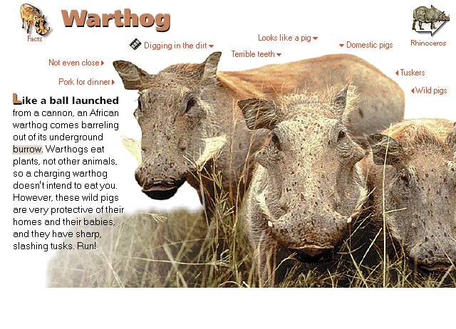 Warthog