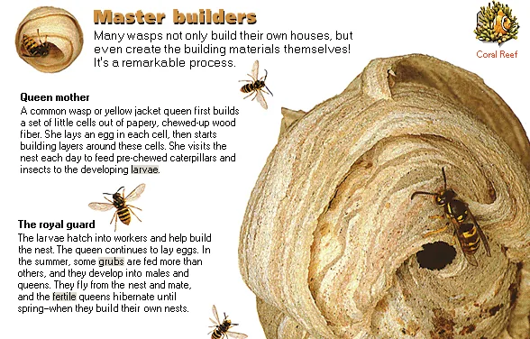 Master builders