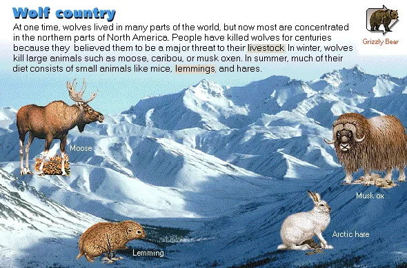 Wolf country
